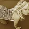 Photo of KinkyMeggie